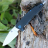 Складной нож Artisan Cutlery Predator 1706P-BK - Складной нож Artisan Cutlery Predator 1706P-BK