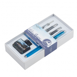 Набор WE-SHARE: перьевая ручка + сменные насадки + конвертер + чернила PIERRE CARDIN PCW-001-4